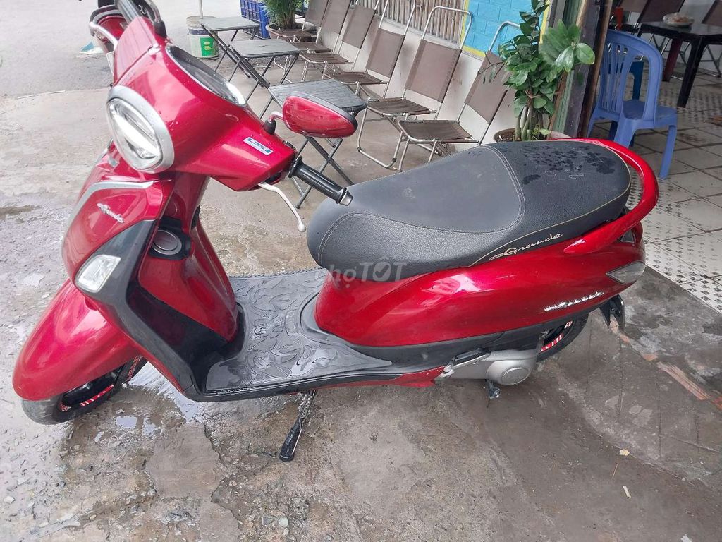 grande fi 2008 - ảnh 3