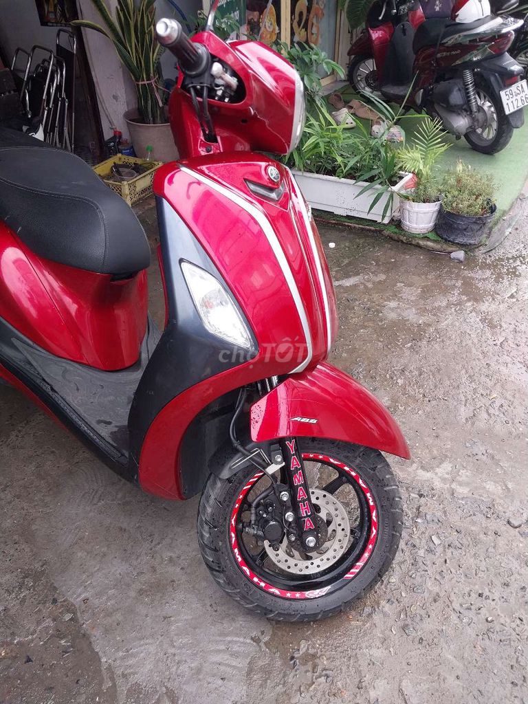 grande fi 2008 - ảnh 4
