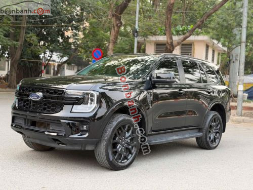 Ford Everest Sport 2.0L 4x2 AT 2024 - ảnh 3