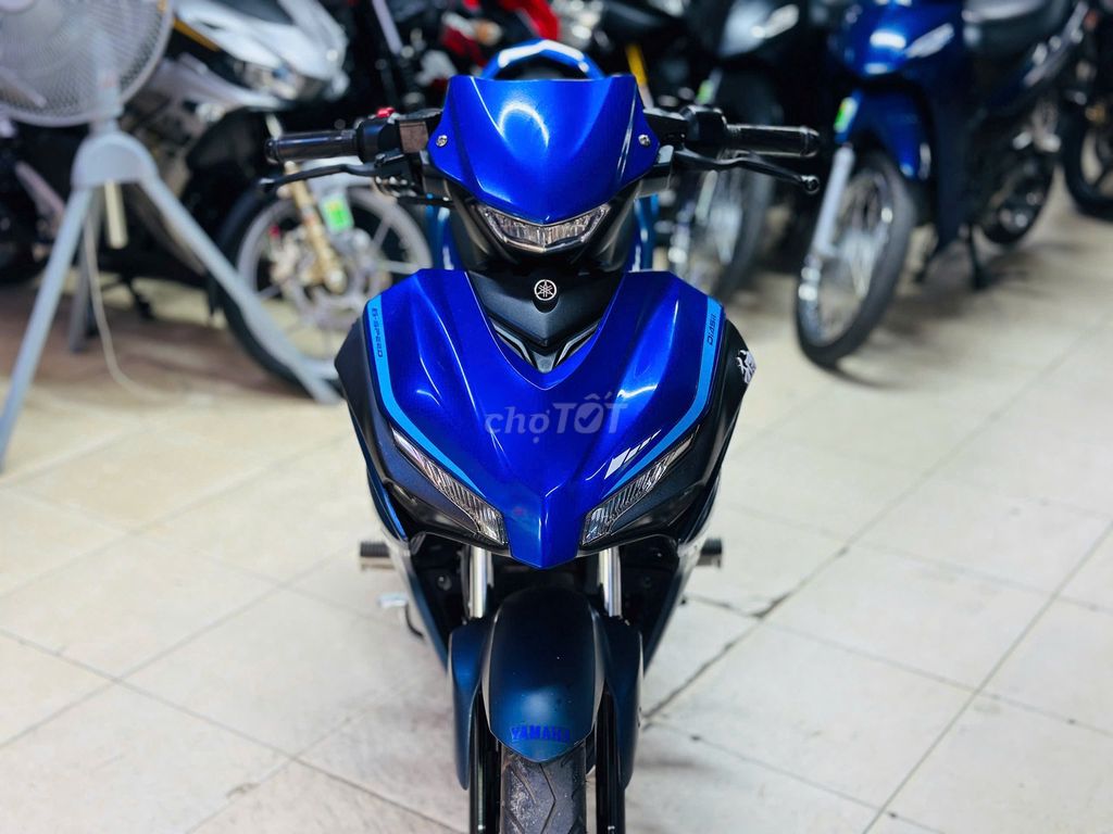 XE M 2022 - ảnh 2
