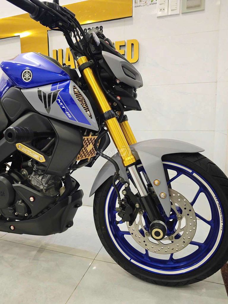 MT 2023 - ảnh 5
