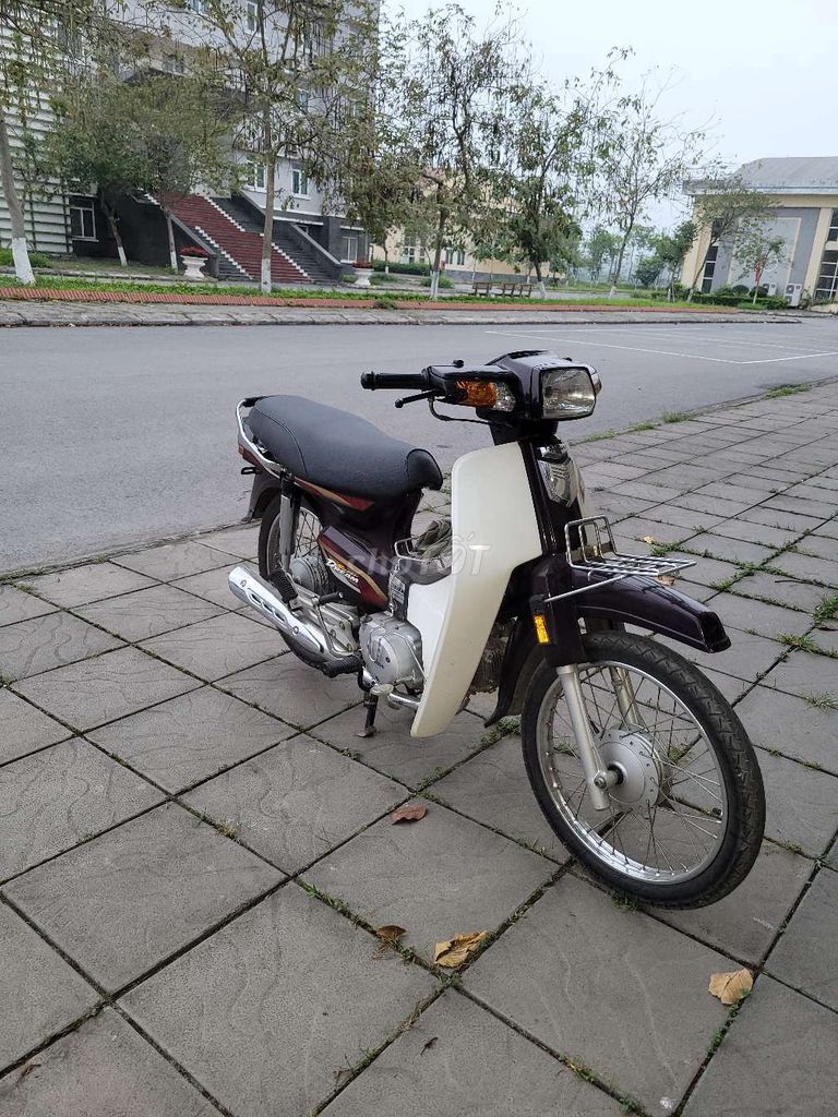 Honda Dream 2013 - ảnh 1