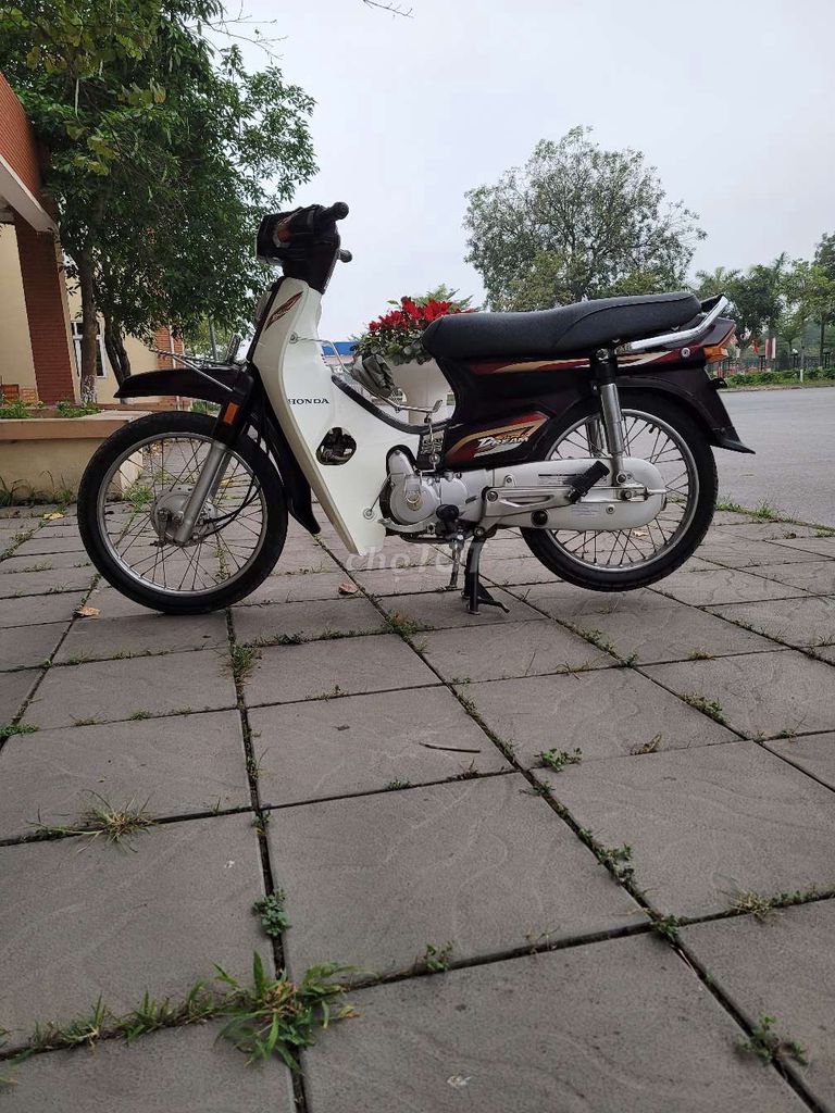 Honda Dream 2013 - ảnh 4