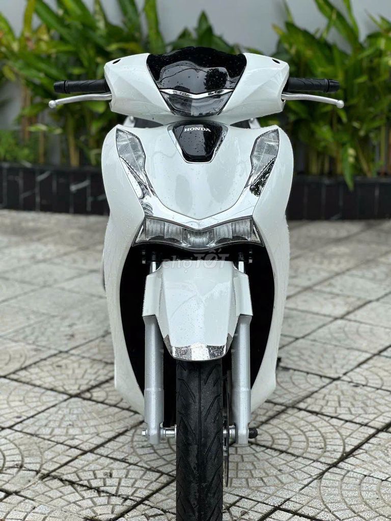 Honda SH 2024 - ảnh 1