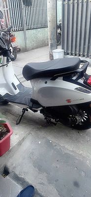 Xe m 2026 - ảnh 1