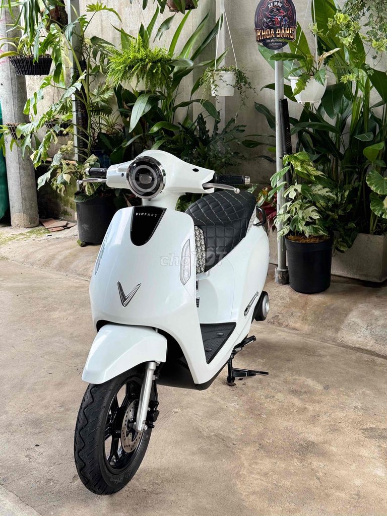 Xe m 2023 - ảnh 1