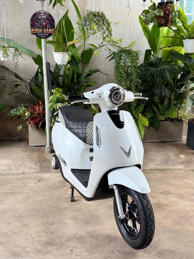Xe m 2023 - ảnh 2