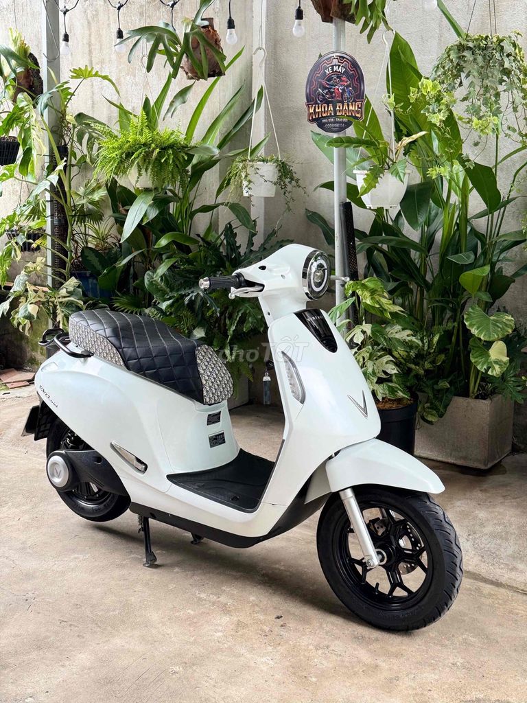 Xe m 2023 - ảnh 3
