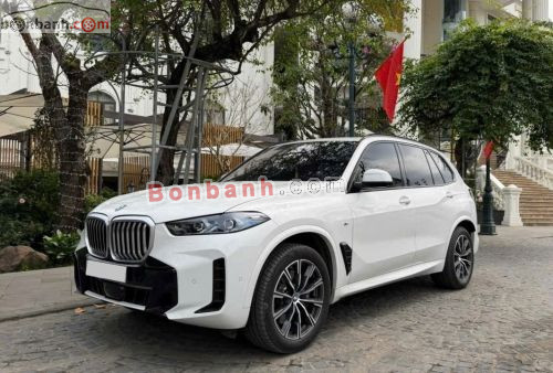 BMW X5 xDrive40i M Sport 2025 - ảnh 1