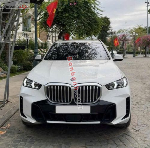 BMW X5 xDrive40i M Sport 2025 - ảnh 2