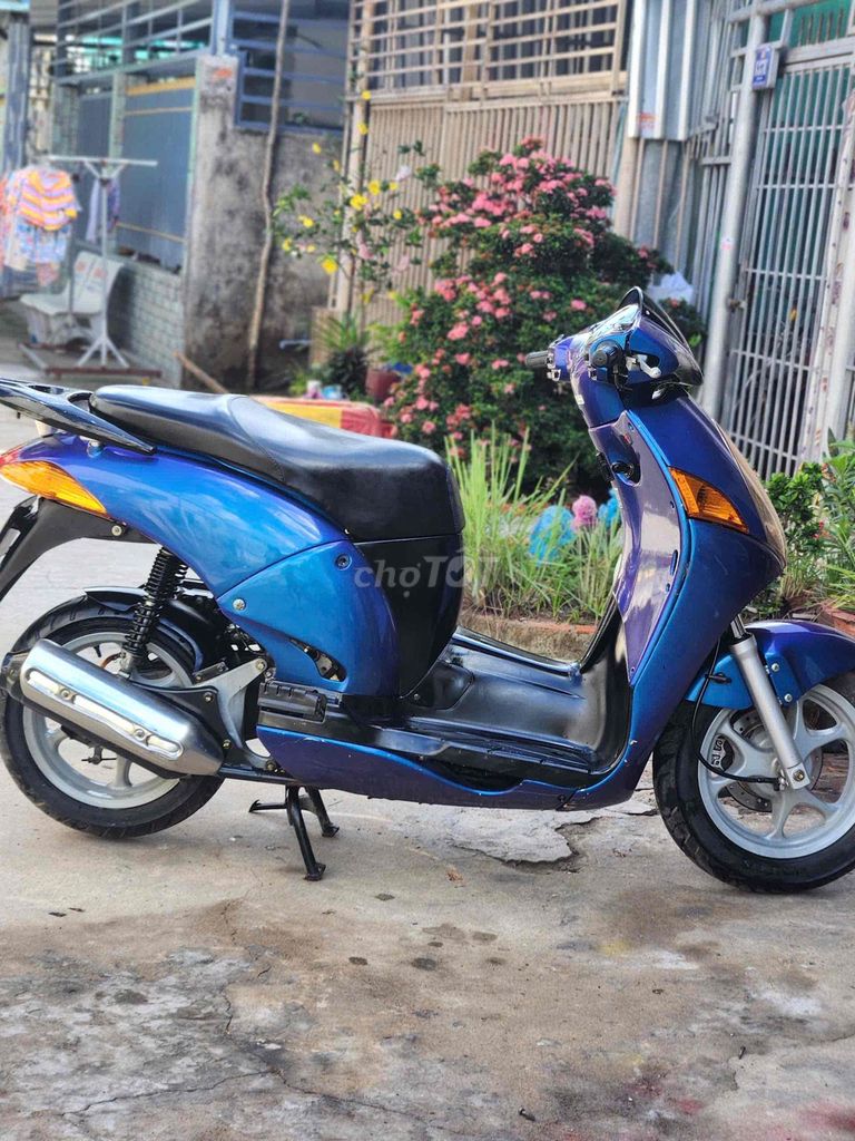 Hon da 2009 - ảnh 1