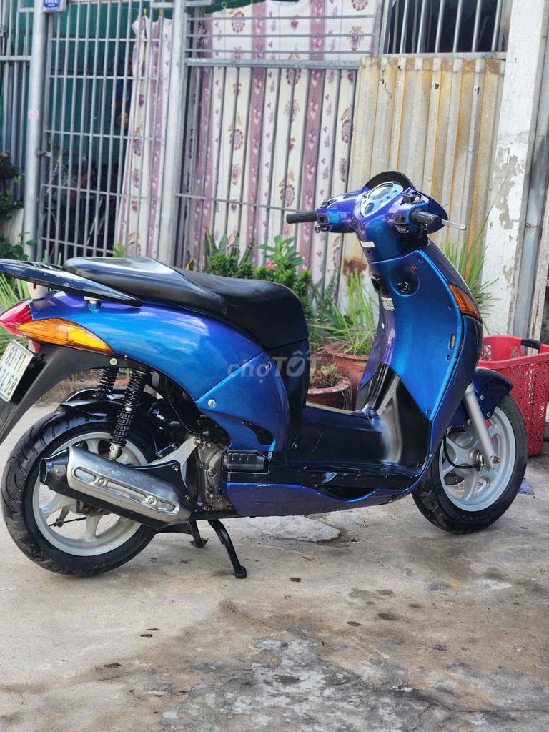 Hon da 2009 - ảnh 2
