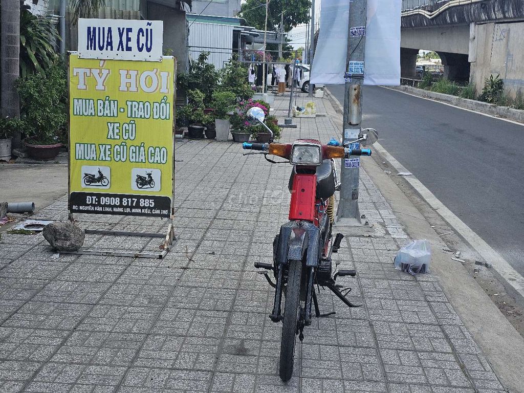 Honda Cub 1996 - ảnh 2