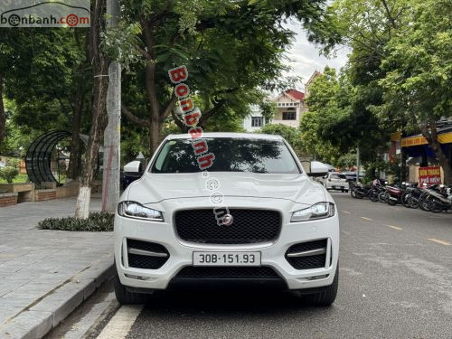 Jaguar 2016 - ảnh 1
