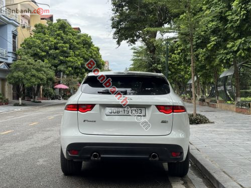 Jaguar 2016 - ảnh 2