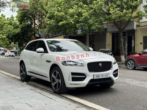 Jaguar 2016 - ảnh 4