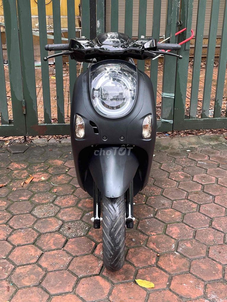 XE M 2025 - ảnh 1