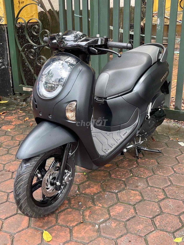 XE M 2025 - ảnh 2