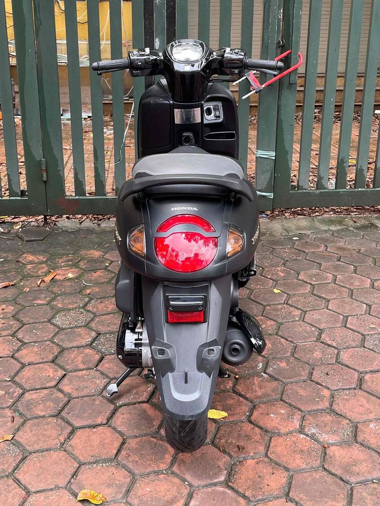 XE M 2025 - ảnh 4