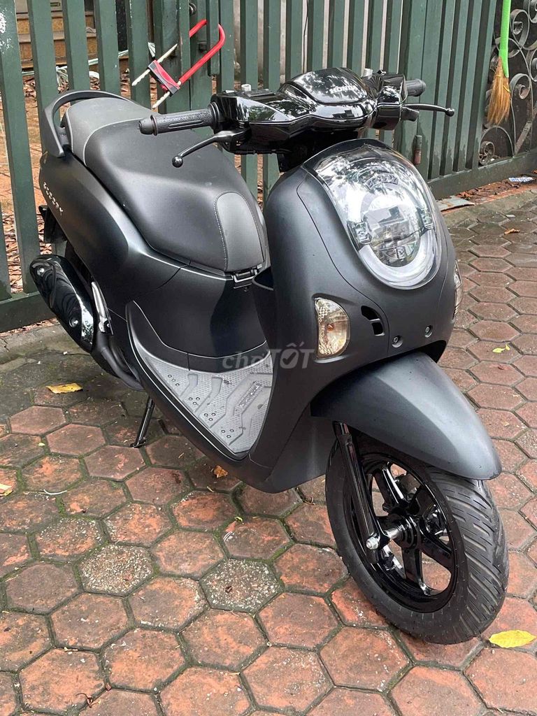 XE M 2025 - ảnh 5