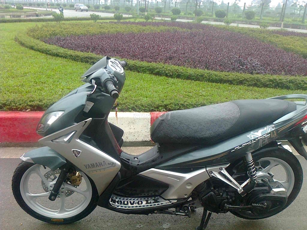 xe novo 2015 - ảnh 3