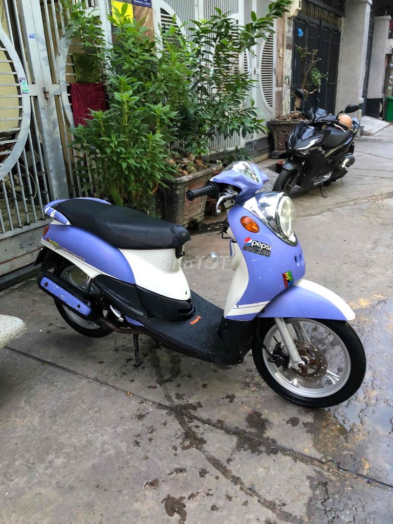 Yamaha - ảnh 2