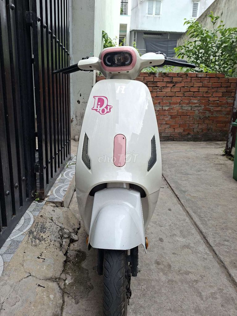 Xe m 2025 - ảnh 1