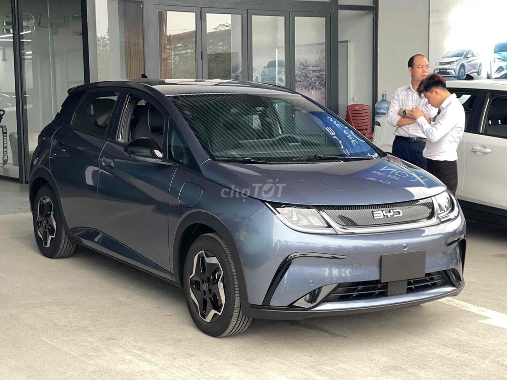 BYD Dolphin - ảnh 1