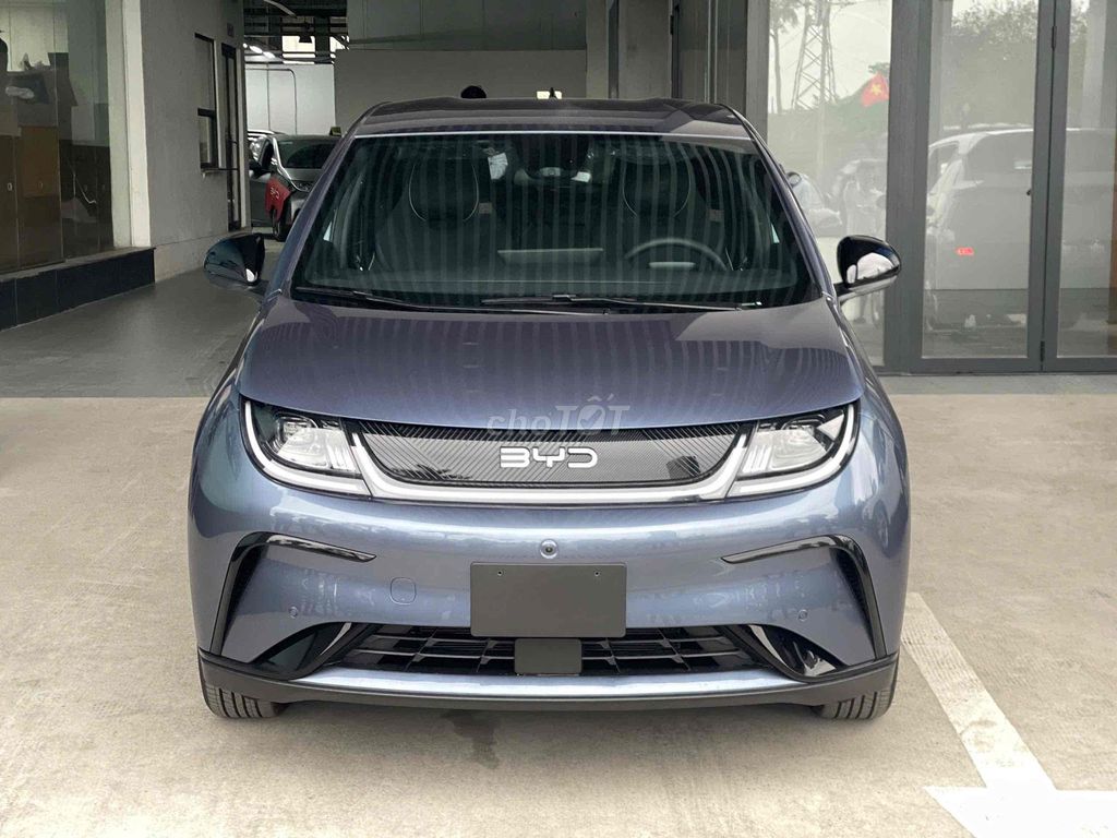 BYD Dolphin - ảnh 2