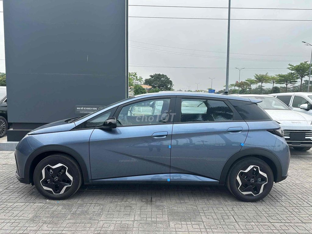 BYD Dolphin - ảnh 3