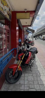 Honda MSX 2016 - ảnh 1