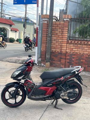novo 2012 - ảnh 1