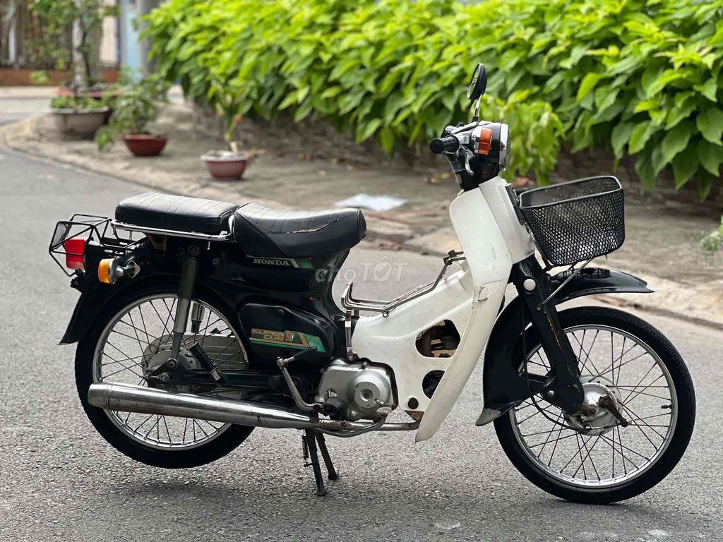 Honda Cup 1986 - ảnh 3