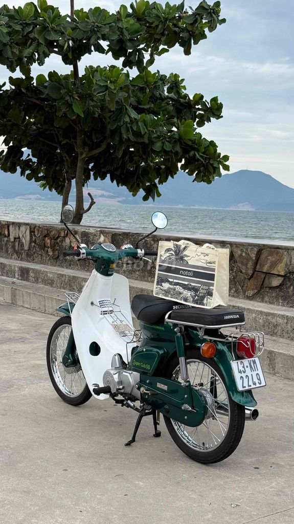 Honda Cub 1981 - ảnh 1