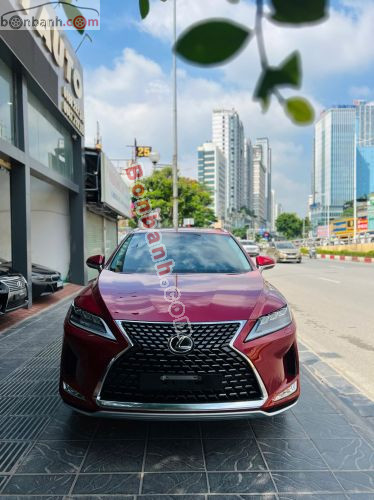 Lexus RX 300 2021 - ảnh 1