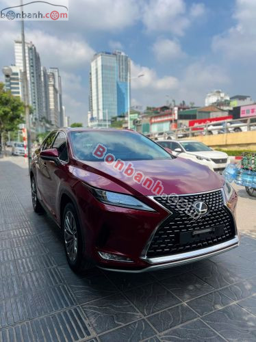 Lexus RX 300 2021 - ảnh 2