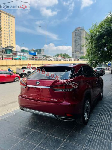 Lexus RX 300 2021 - ảnh 3