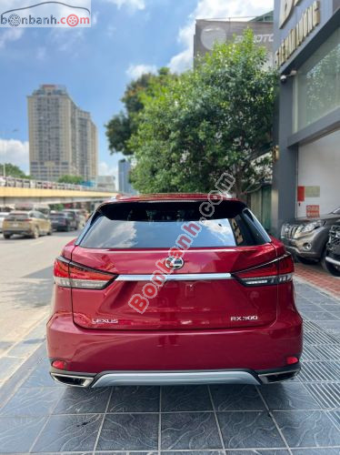 Lexus RX 300 2021 - ảnh 4