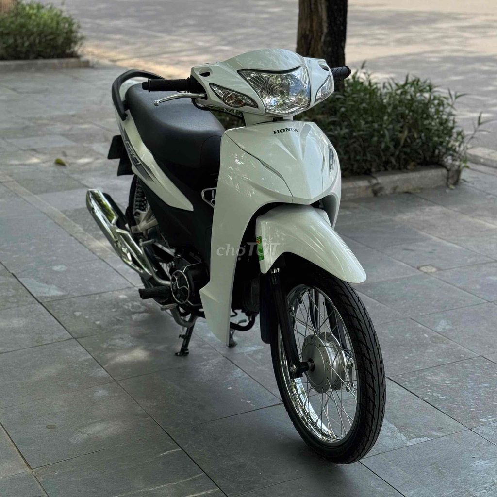 Honda Wave 2023 - ảnh 3