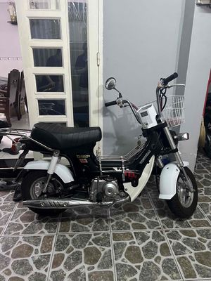 Xe m 2024 - ảnh 1