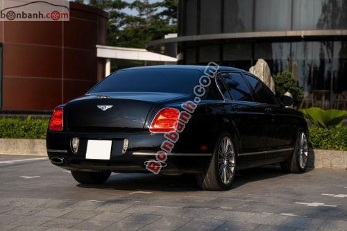 Bentley 2011 - ảnh 3
