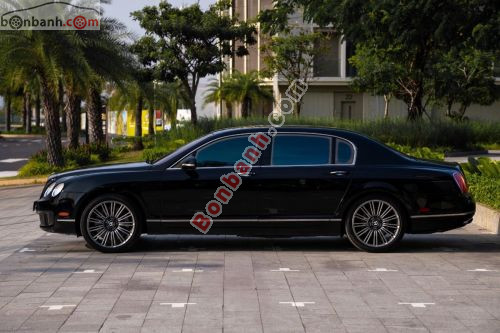 Bentley 2011 - ảnh 5