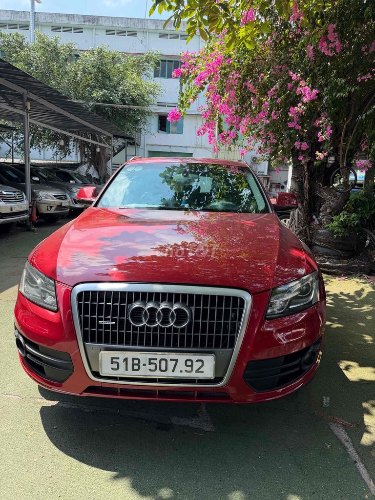Audi Q5 2010 - ảnh 1