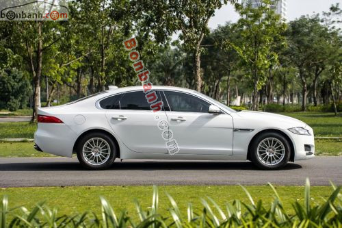 Jaguar XF 2.0 AT 2016 - ảnh 4