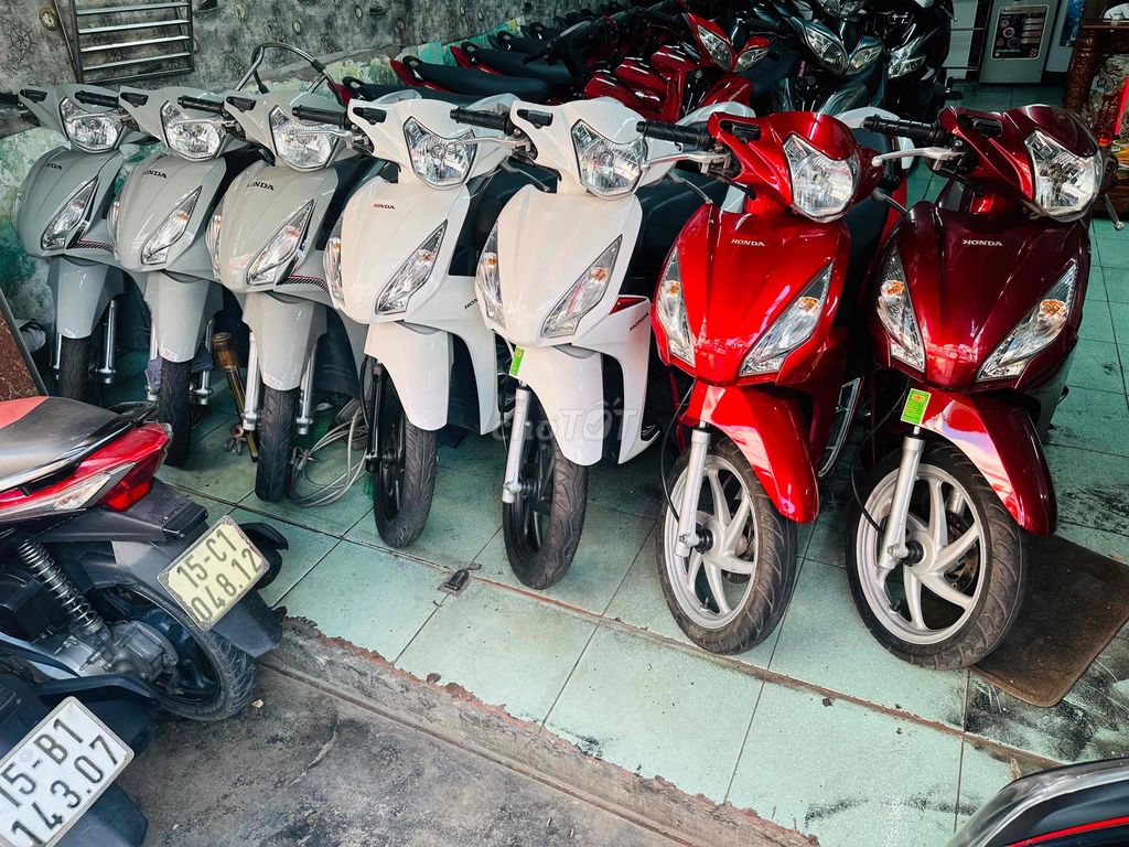 thanh l 2020 - ảnh 1