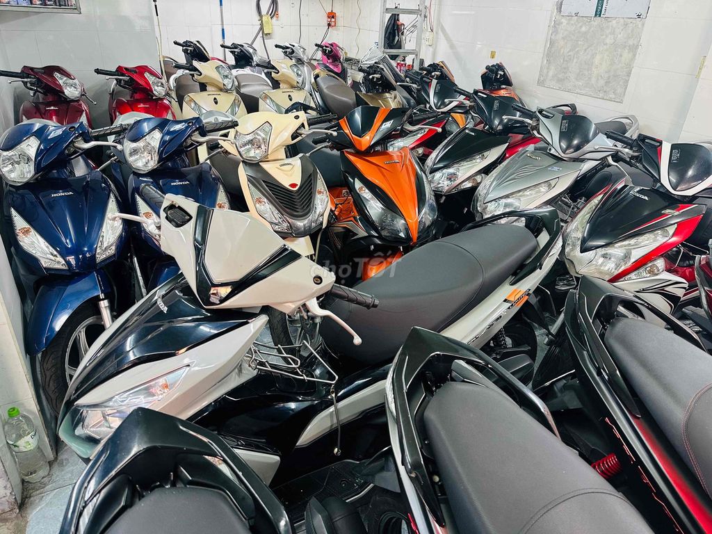thanh l 2020 - ảnh 3