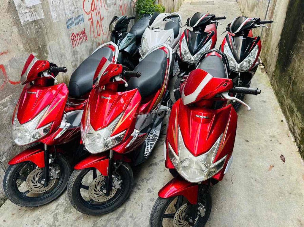 thanh l 2020 - ảnh 5