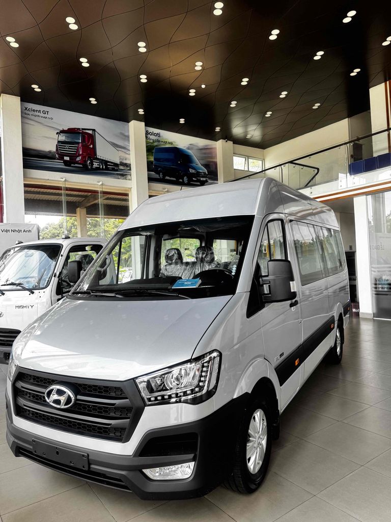 Hyundai Solati - ảnh 4