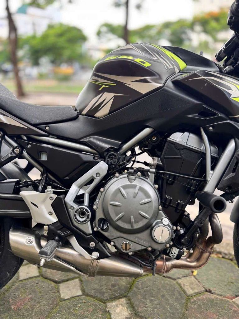Kawasaki Z 2019 - ảnh 4