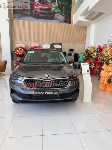 Skoda 2025 - ảnh 1